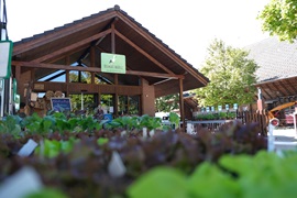 Mensch kultiviere die Erde